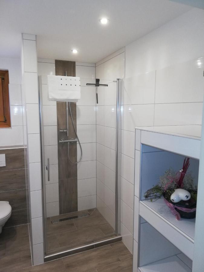 Haus Lydia Διαμέρισμα Bad Mitterndorf Εξωτερικό φωτογραφία